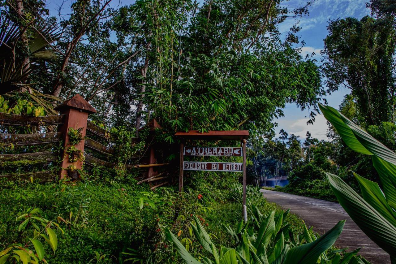 Atremaru Jungle Retreat Hotel Puerto Princesa Exterior foto